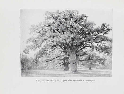 Дульский П.М. Иван Иванович Шишкин. 1832–1898 / Под ред. Г.А. Скопина. Казань: Татгосиздат, 1953.